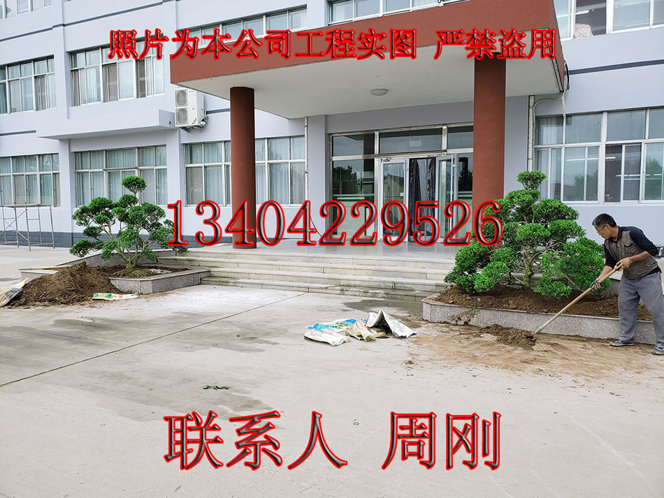 苏州园林绿化 从私家园林到现代厂区的生态美学传承