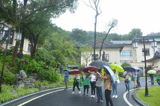 杭园协举办2016市优秀园林绿化工程特色项目观摩活动