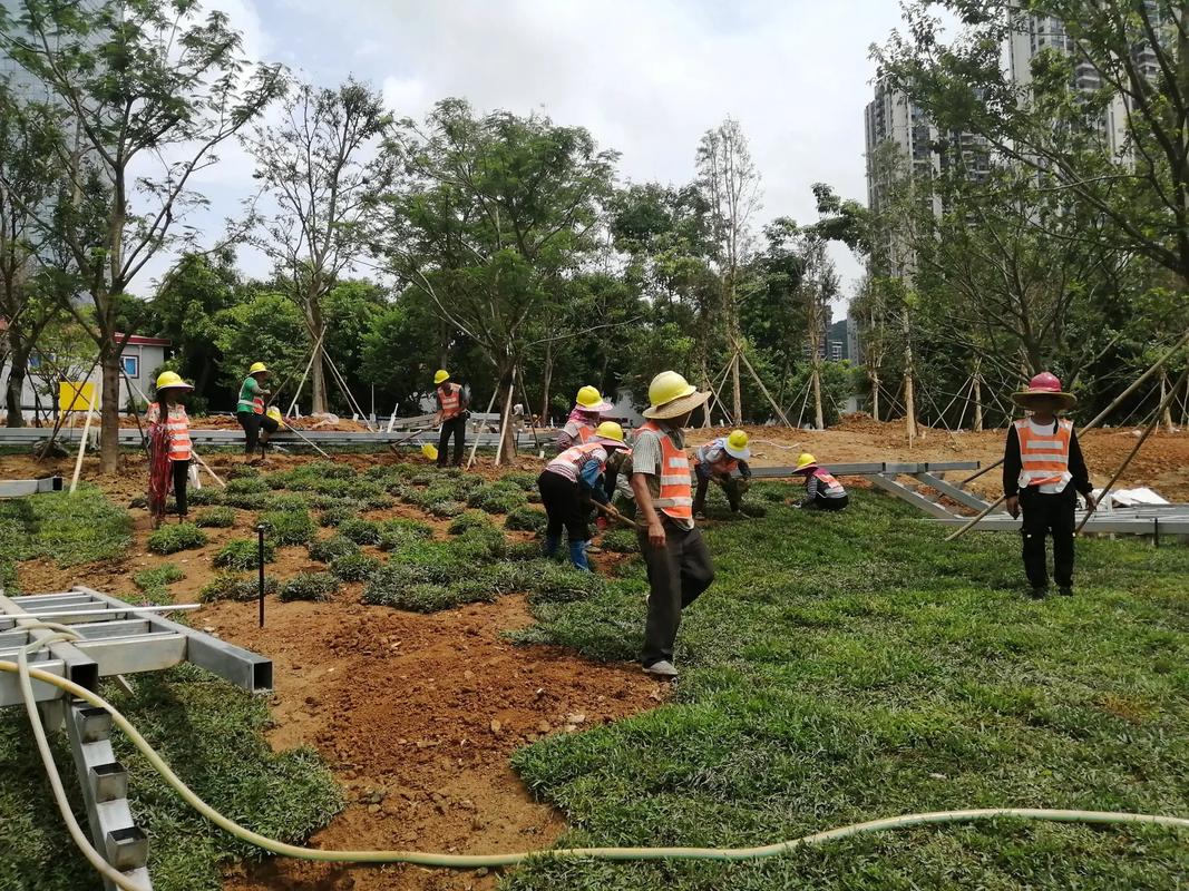 洛阳绿化工程 匠心筑造城市绿肺，倾力打造宜居环境