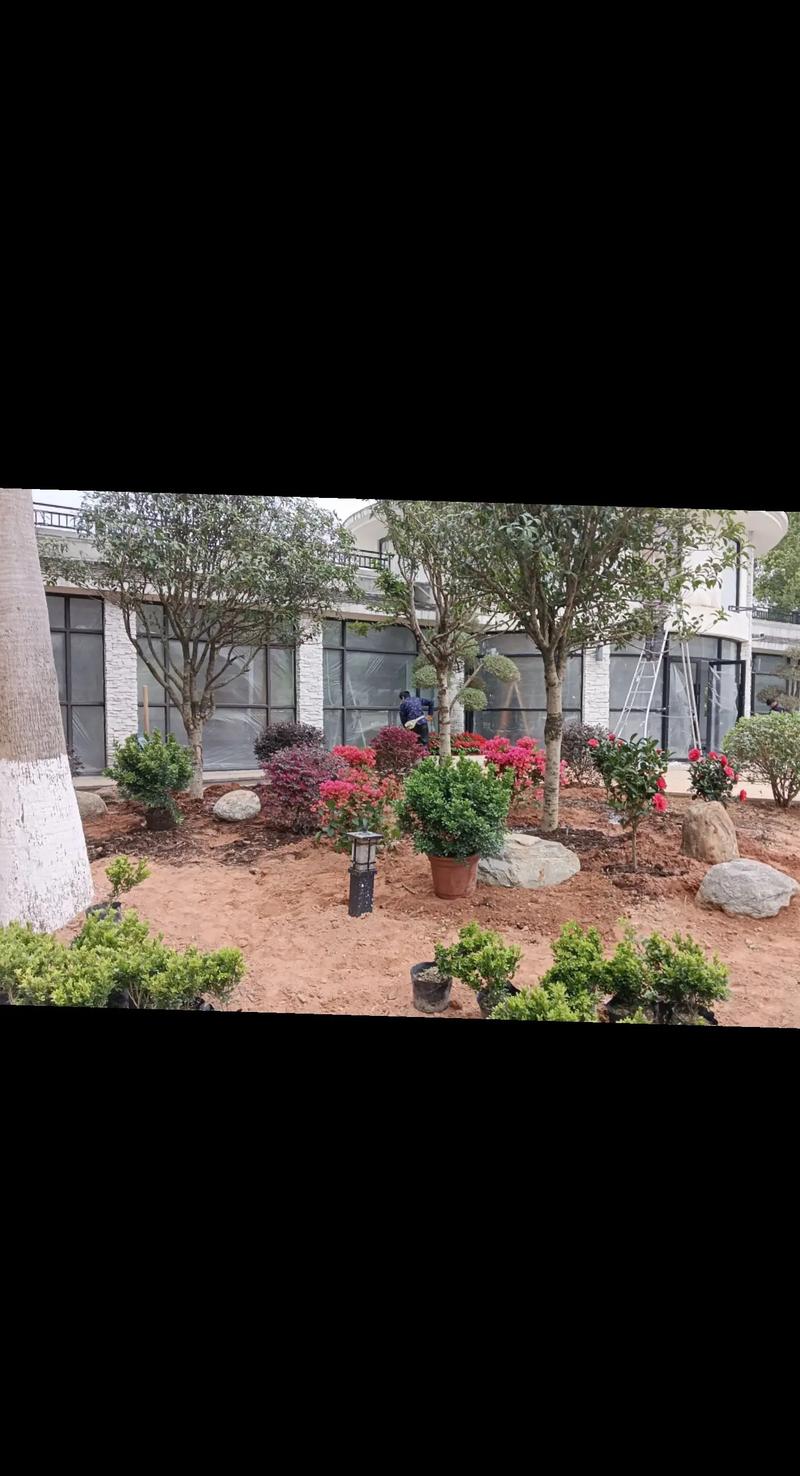 园林绿化工程施工 从蓝图到绿洲的匠心营造